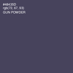 #48435D - Gun Powder Color Image